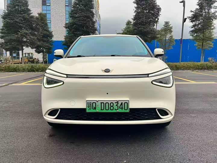 Фото 2 - Dongfeng Nammi 01