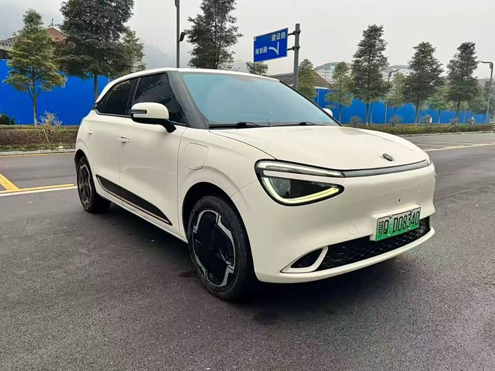 Фото 3 - Dongfeng Nammi 01