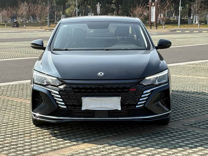 Фото 2 - Dongfeng Aeolus Yixuan Max