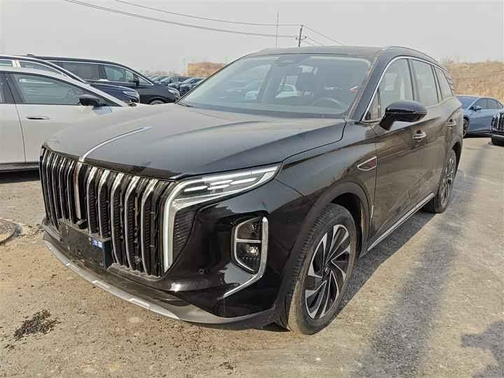 Фото 2 - Hongqi HS7 Hybrid