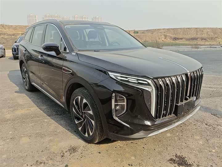 Фото 4 - Hongqi HS7 Hybrid