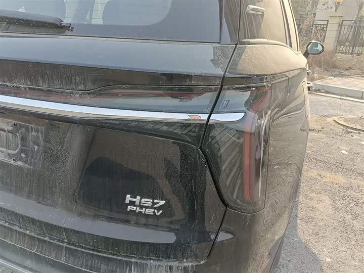 Фото 8 - Hongqi HS7 Hybrid
