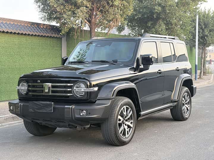 Фото 1 - Tank 300