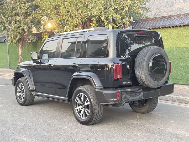 Фото 4 - Tank 300