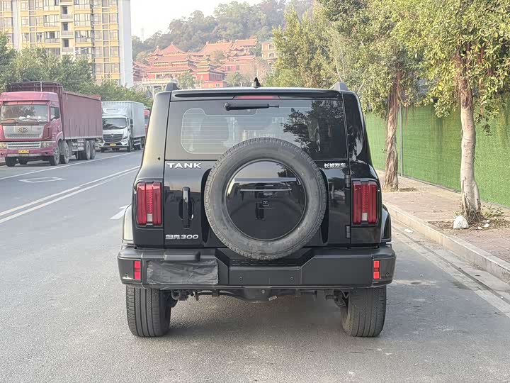 Фото 6 - Tank 300