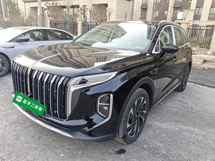 Фото 1 - Hongqi HS7 Hybrid