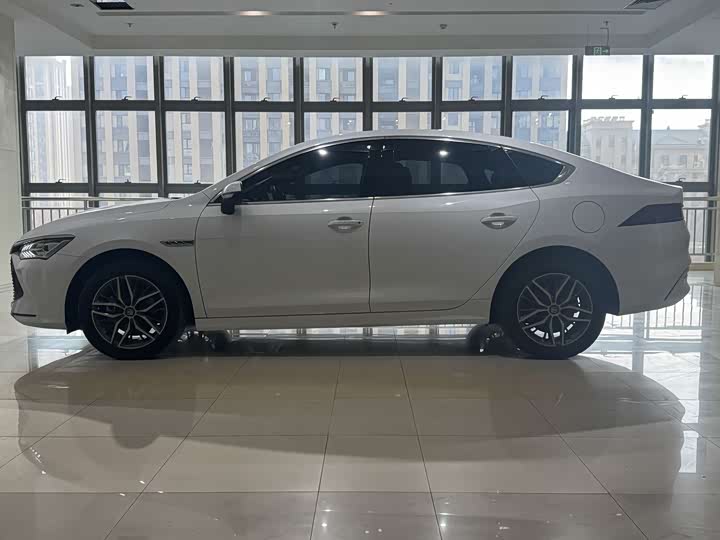 Фото 4 - BYD Qin Plus