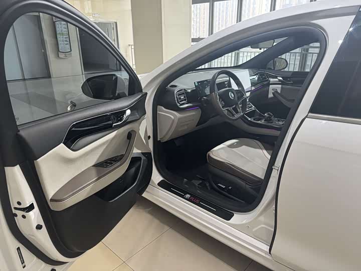 Фото 8 - BYD Qin Plus