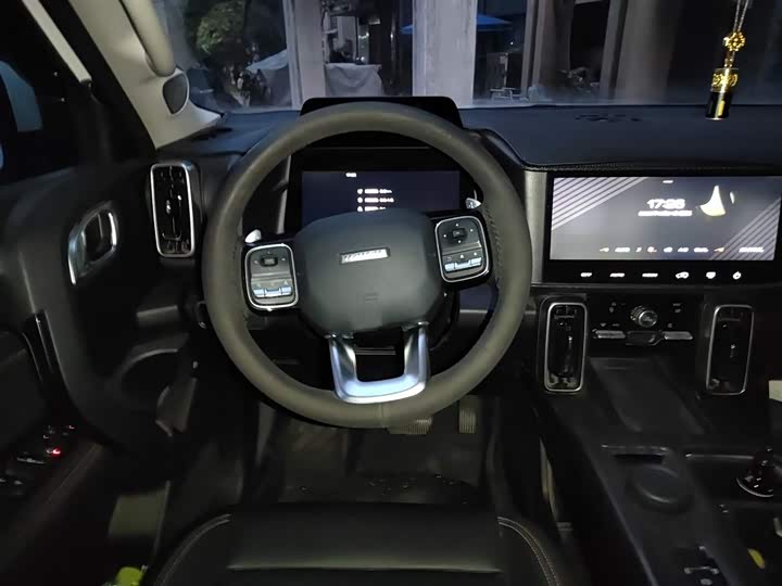 Фото 3 - Haval Dargo