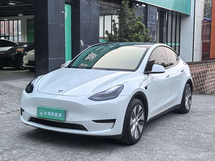 Фото 1 - Tesla Model Y