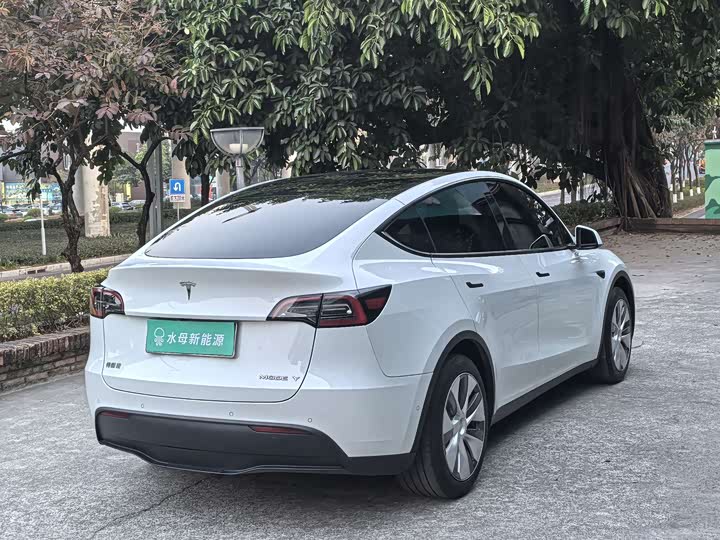 Фото 4 - Tesla Model Y