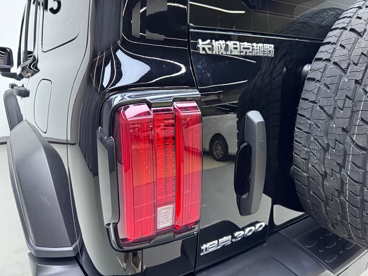 Фото 8 - Tank 300