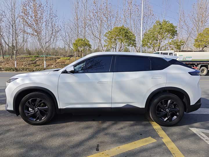 Фото 3 - Dongfeng Aeolus Sky EV01