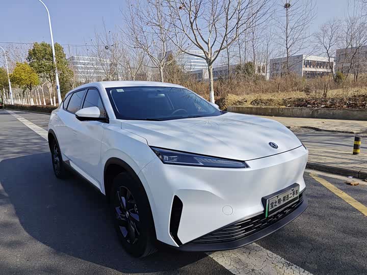 Фото 8 - Dongfeng Aeolus Sky EV01