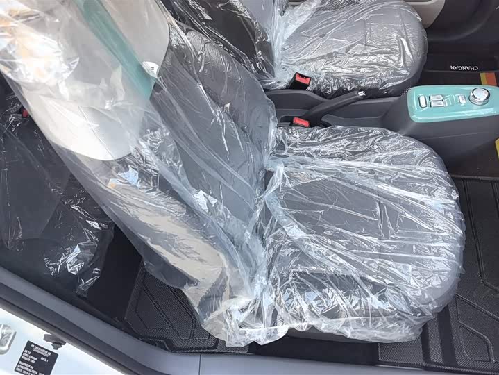 Фото 8 - Changan Qiyuan (Nevo) Lumin