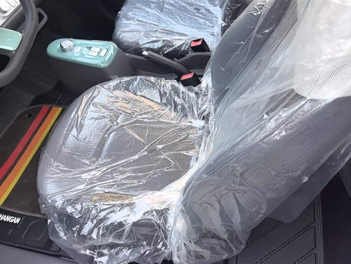 Фото 9 - Changan Qiyuan (Nevo) Lumin