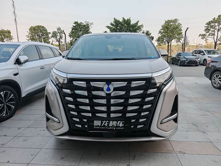 Фото 2 - Denza D9