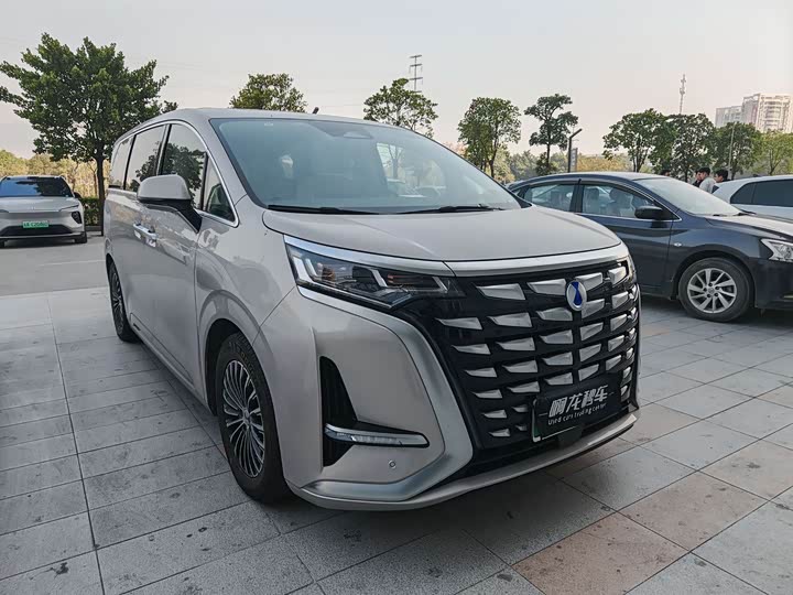 Фото 3 - Denza D9