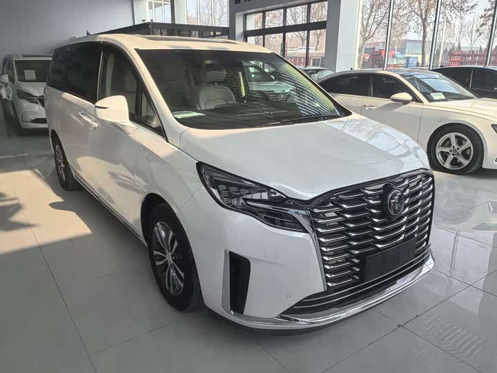 Фото 3 - Buick GL8 ES