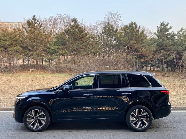 Фото 3 - LiXiang One