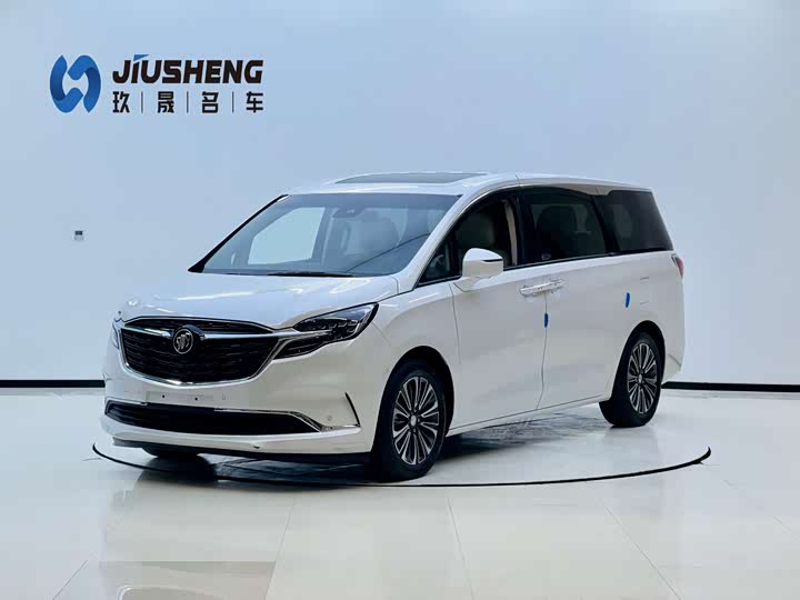 Фото 1 - Buick GL8 ES