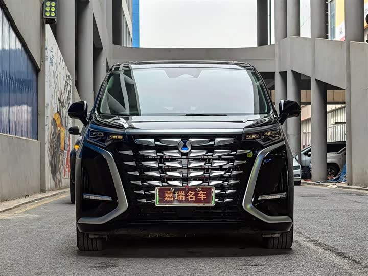 Фото 2 - Denza D9