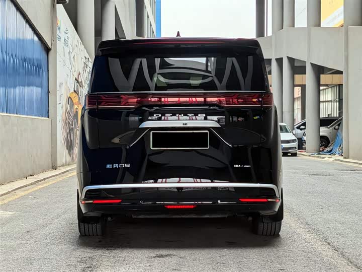 Фото 4 - Denza D9