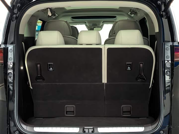 Фото 8 - Denza D9