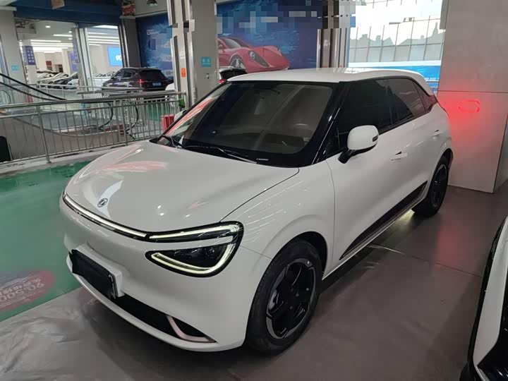 Фото 2 - Dongfeng Nammi 01