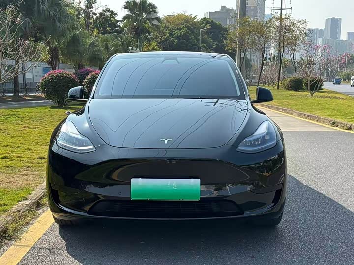 Фото 2 - Tesla Model Y