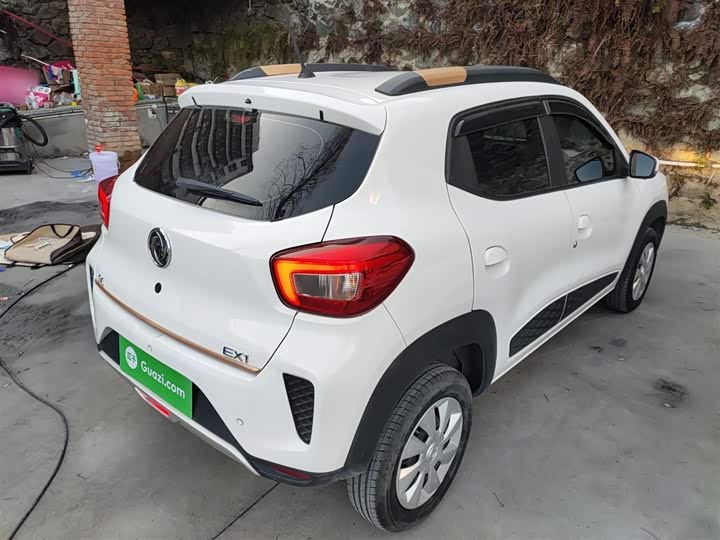 Фото 7 - Dongfeng Nammi Nano EX1 Pro