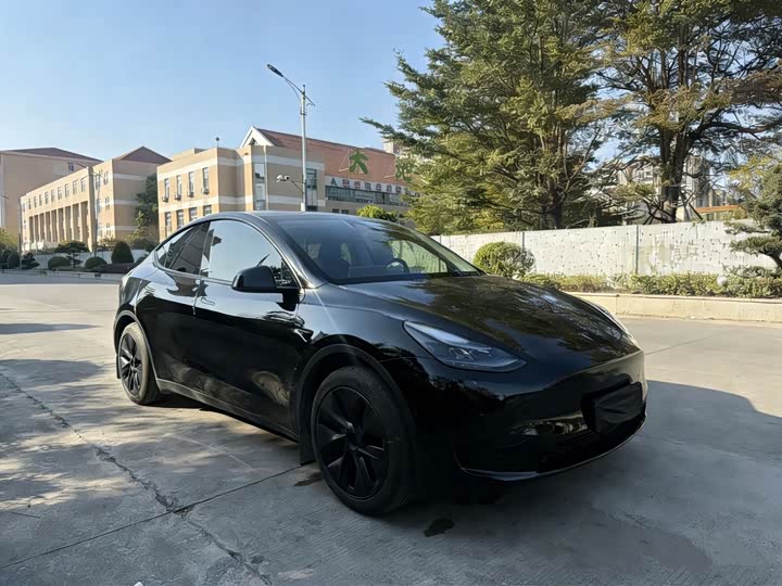Фото 3 - Tesla Model Y