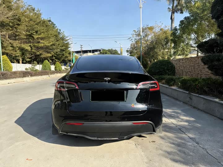 Фото 6 - Tesla Model Y