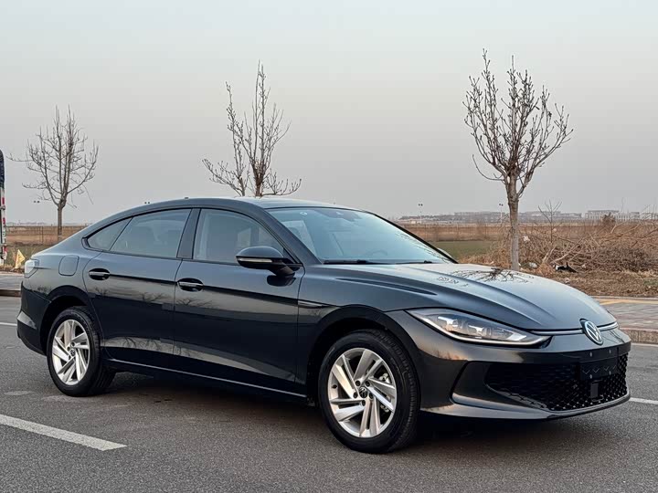 Фото 3 - Volkswagen Lamando L