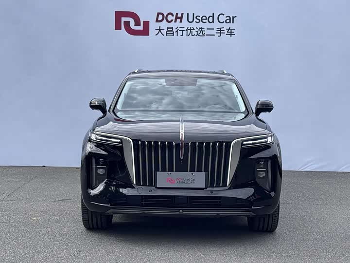 Фото 5 - Hongqi E-HS9