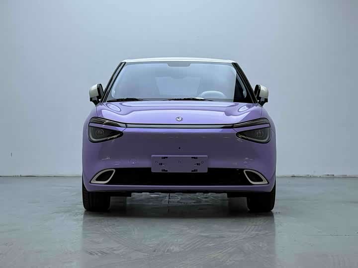 Фото 2 - Dongfeng Nammi 01