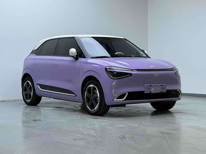 Фото 3 - Dongfeng Nammi 01