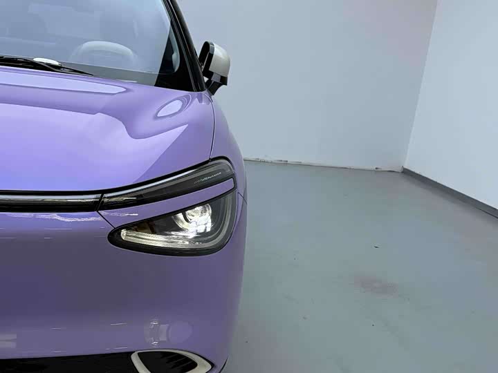 Фото 6 - Dongfeng Nammi 01