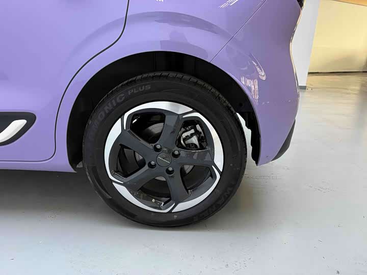 Фото 7 - Dongfeng Nammi 01