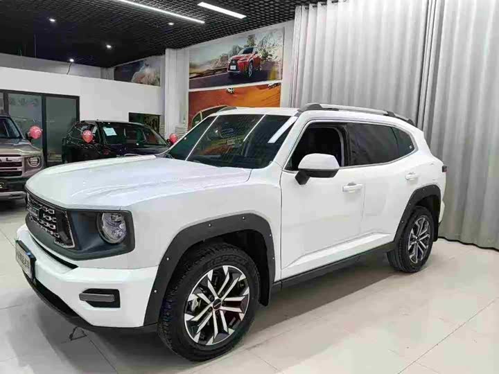 Фото 1 - Haval H-Dog