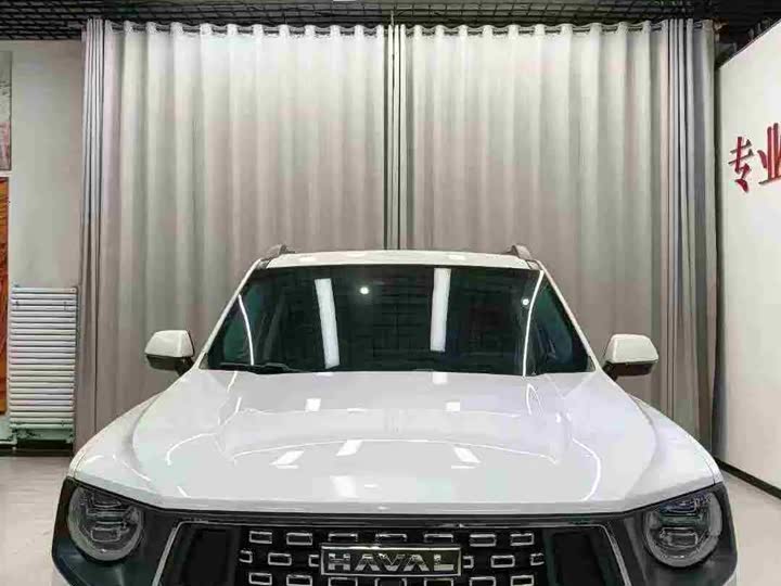 Фото 2 - Haval H-Dog