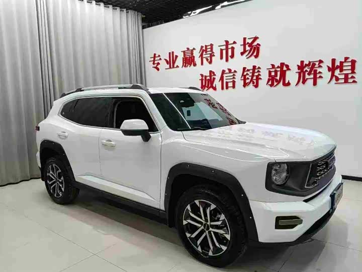 Фото 3 - Haval H-Dog