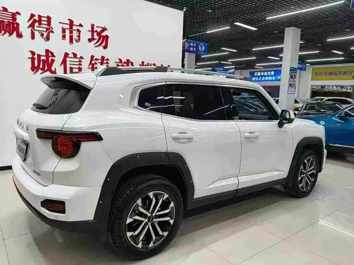 Фото 4 - Haval H-Dog