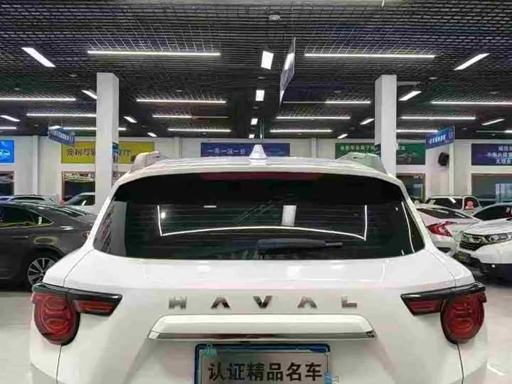 Фото 5 - Haval H-Dog