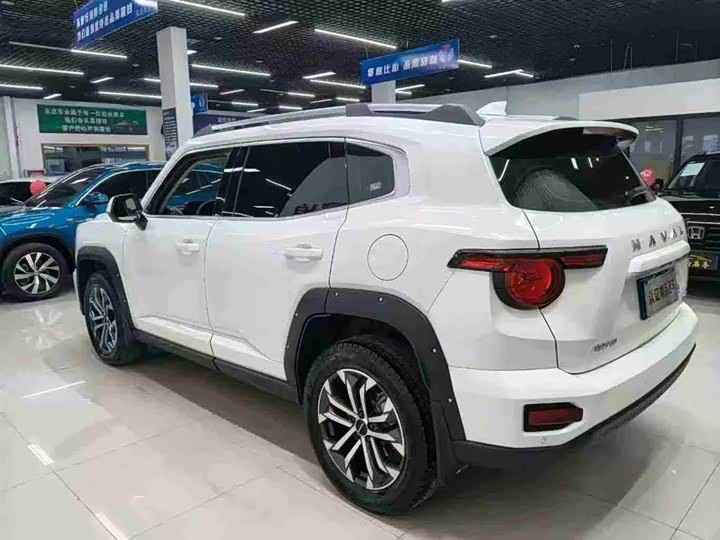 Фото 6 - Haval H-Dog