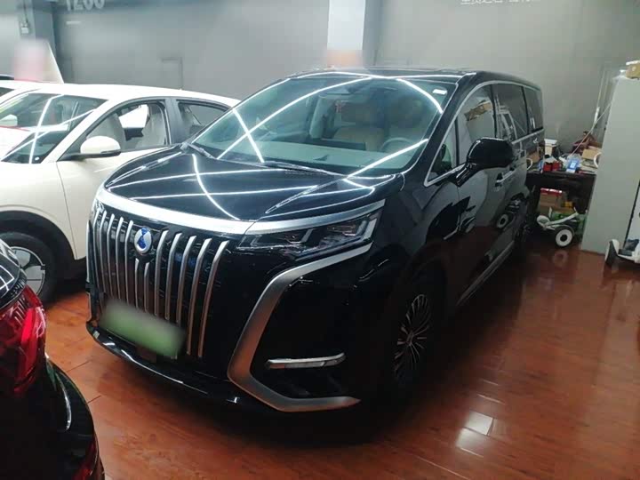 Фото 1 - Denza D9