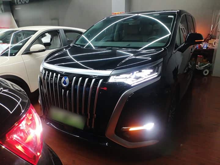 Фото 3 - Denza D9