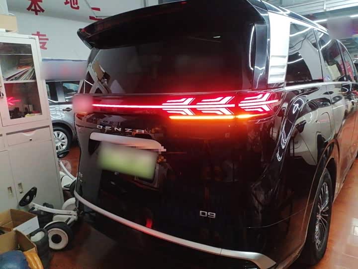 Фото 6 - Denza D9