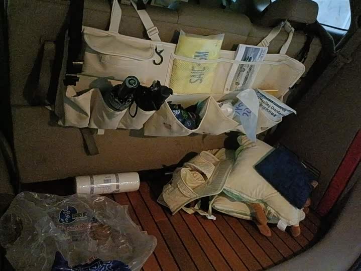 Фото 4 - Buick GL8 ES