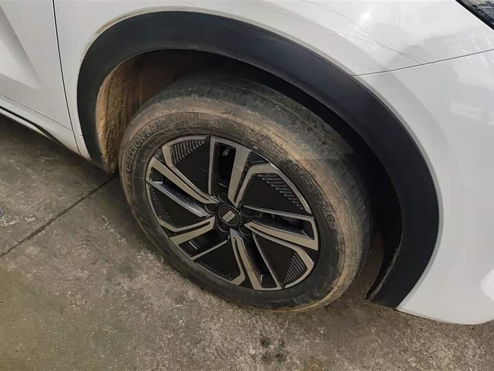 Фото 6 - Geely Galaxy Starship 7